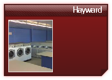 Hayward